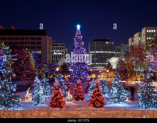 the main christmas tree and small christmas trees at the the main christmas tree and small christmas trees at the