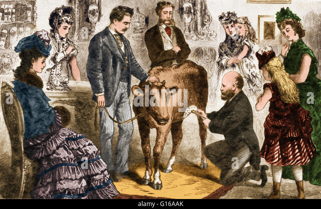 Protection Against Smallpox By Inoculation With The Cowpox Virus Stock