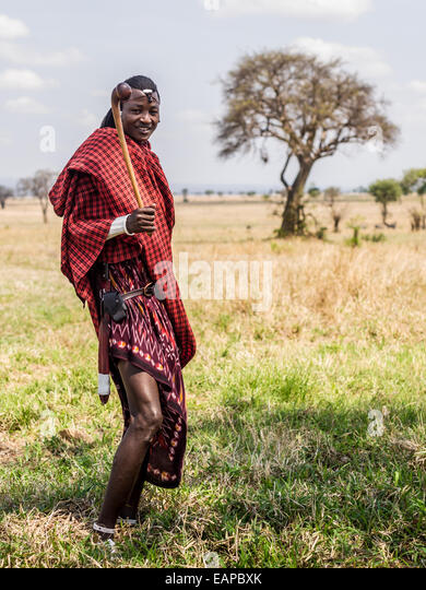 Maasai warrior dressed in traditional red clothes with rungu weapon ...